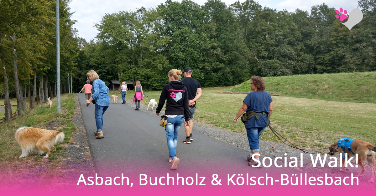 Hundeschule-Asbach-Buchholz